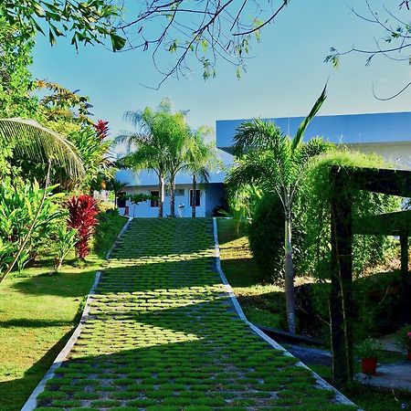 Sand Dollar Villa โบกา ชิกา ภายนอก รูปภาพ