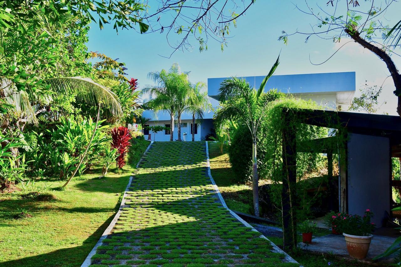 Sand Dollar Villa โบกา ชิกา ภายนอก รูปภาพ